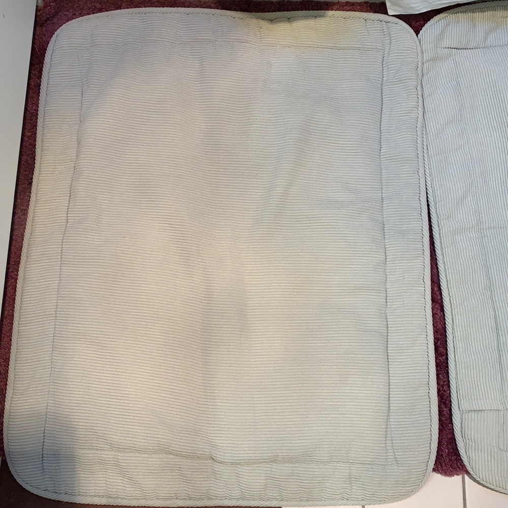 Two Standard Light Green Pillowcase covers